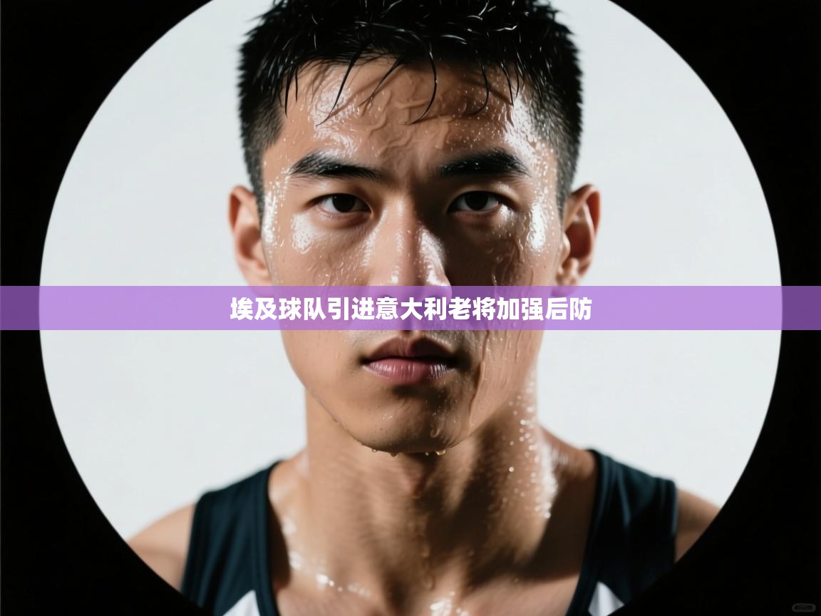 埃及球队引进意大利老将加强后防  第1张