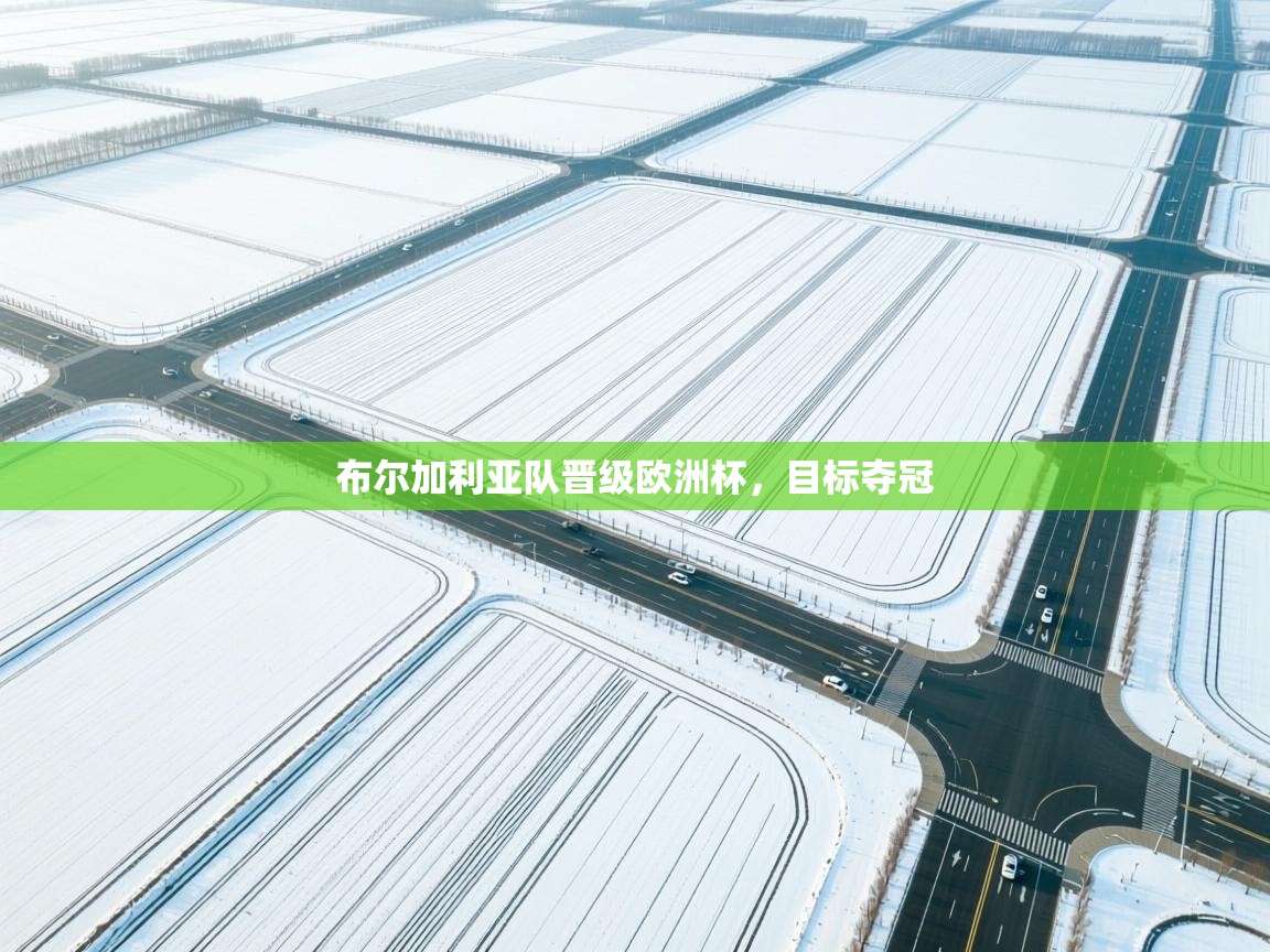 布尔加利亚队晋级欧洲杯，目标夺冠  第1张