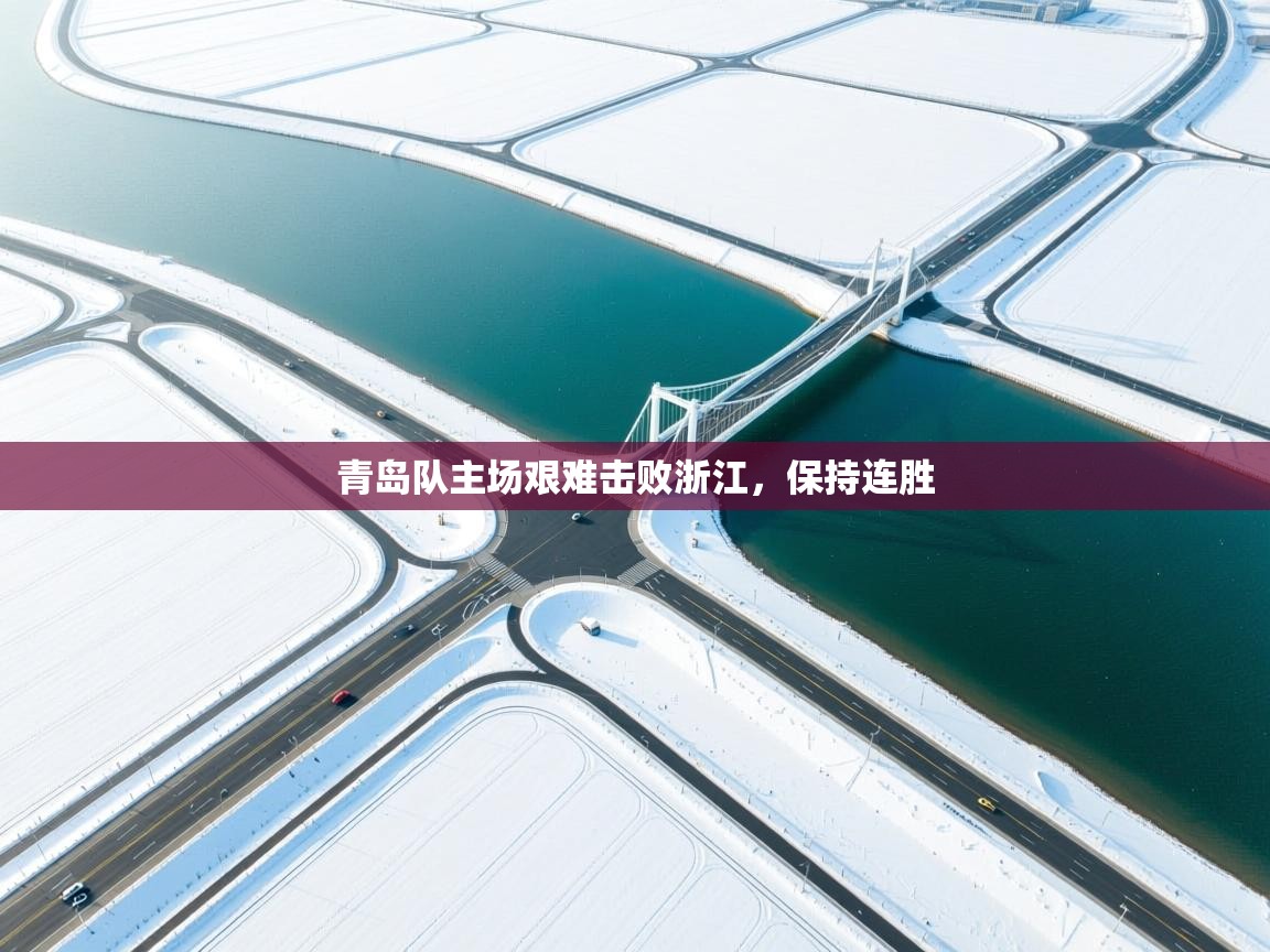 青岛队主场艰难击败浙江，保持连胜  第2张