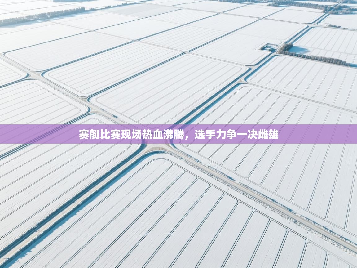 赛艇比赛现场热血沸腾，选手力争一决雌雄  第1张