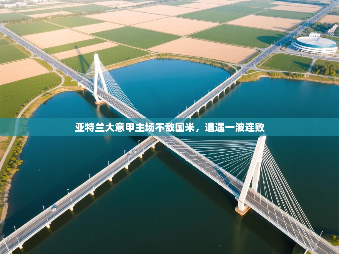 亚特兰大意甲主场不敌国米，遭遇一波连败