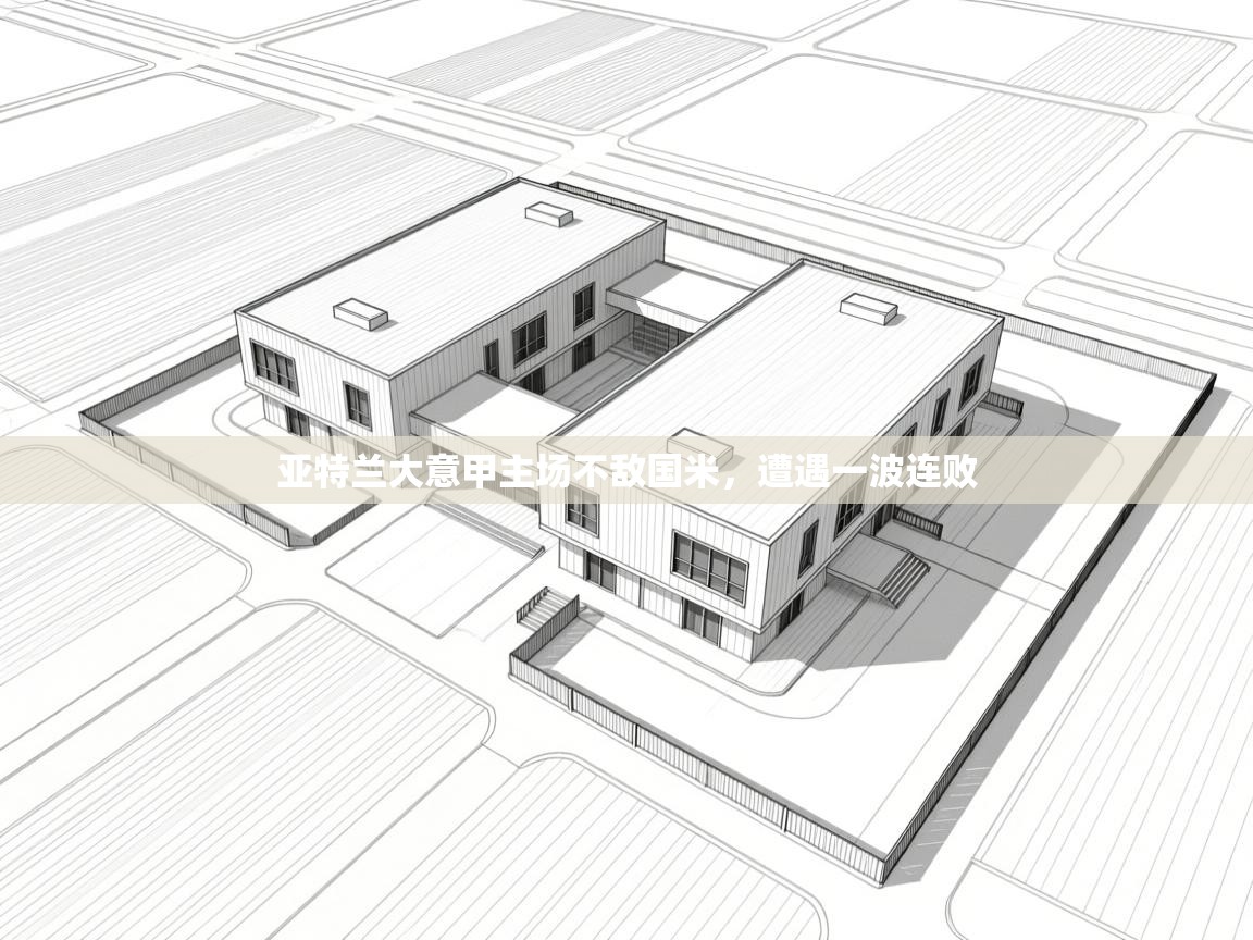 亚特兰大意甲主场不敌国米，遭遇一波连败  第2张