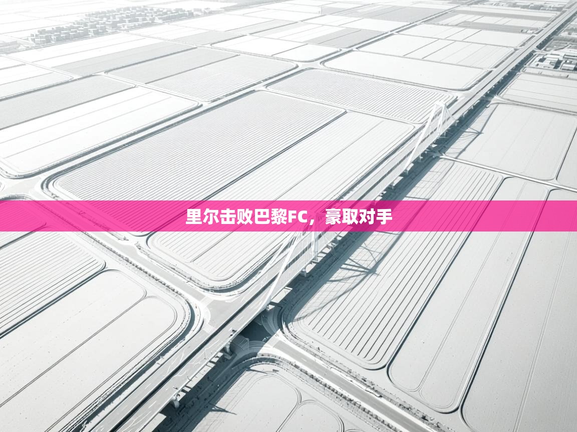 里尔击败巴黎FC，豪取对手  第2张