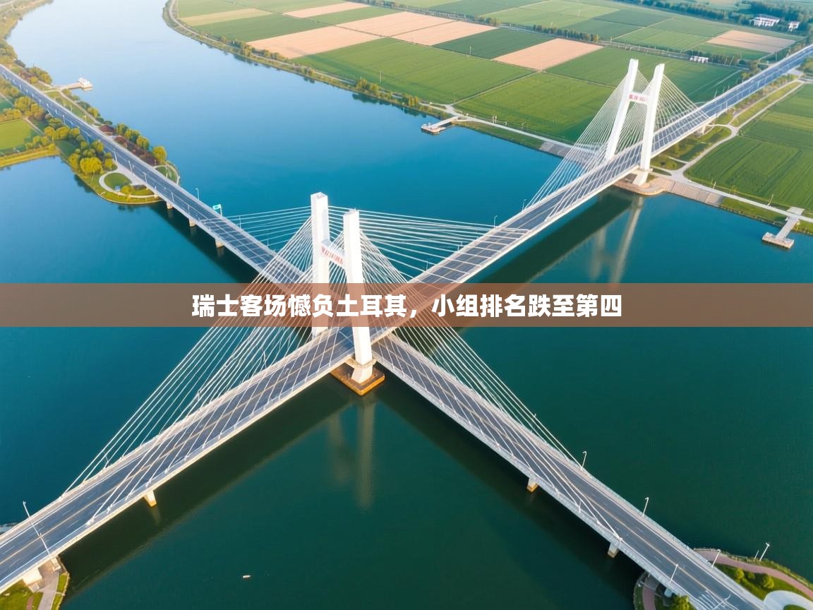 瑞士客场憾负土耳其，小组排名跌至第四