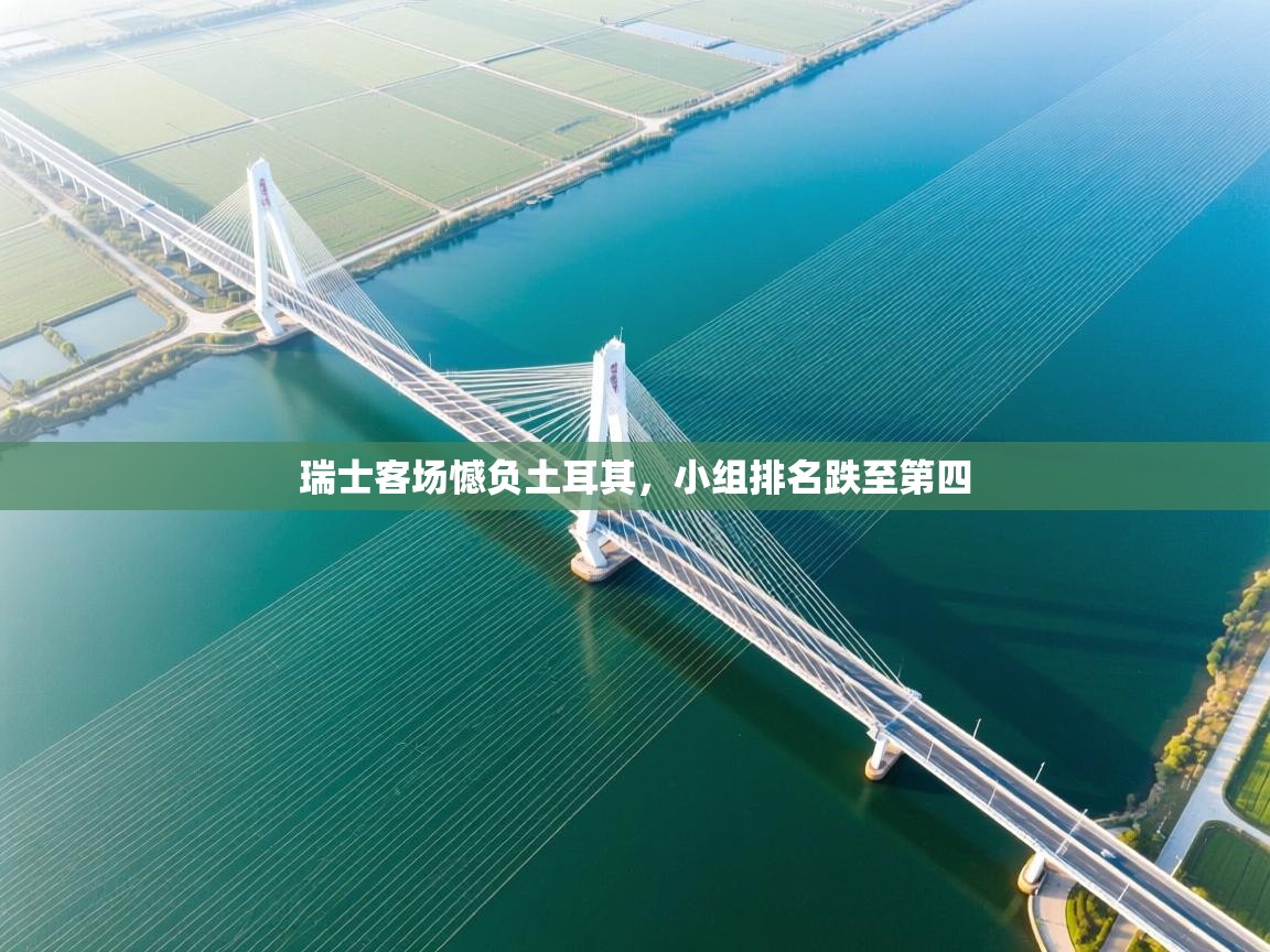 瑞士客场憾负土耳其,小组排名跌至第四 第2张